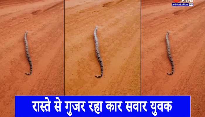 Viral Video : सांप ने हवा में छलांग लगाकर किया चलती कार पर हमला, वायरल हो रहा भयावह वीडियो