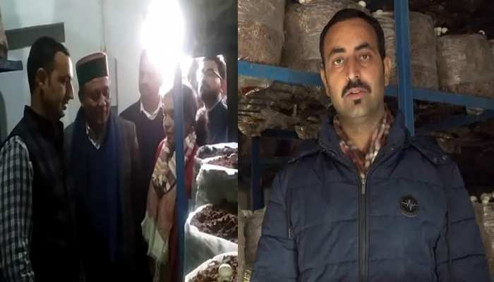 मशरूम की ऑर्गेनिक खेती कर इस किसान ने कायम की मिसाल, युवाओं के लिए बन प्रेरणा