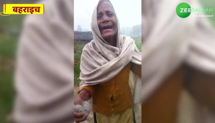 Bahraich Dadi Video: दादी को पोतियों ने बाल नोंच-नोंच कर पीटा, दर्द से रोती दिखी बुजुर्ग महिला, VIDEO देख सहम जाएगा दिल