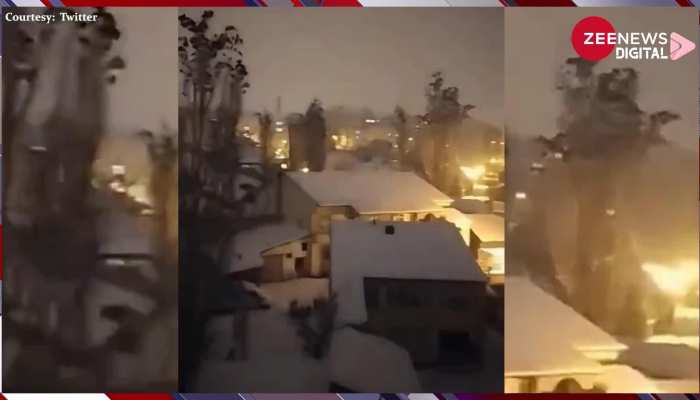 तुर्की में आने वाला है भूकंप, क्या ये बात पक्षियों को पता थी? वायरल वीडियो ने जोड़े तार