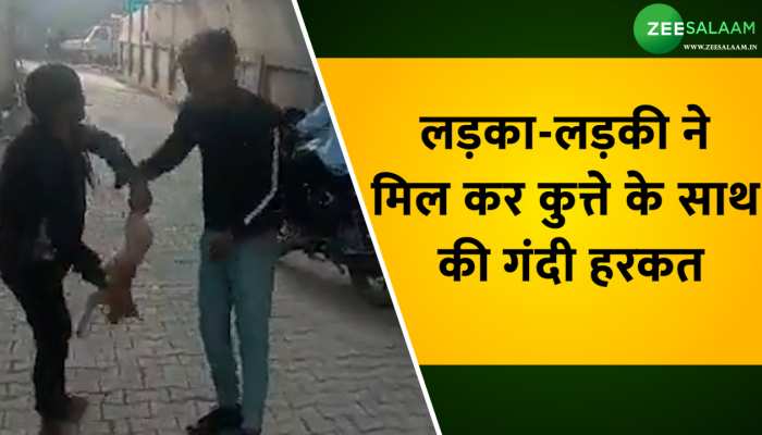 Video: लड़का-लड़की ने मिल कर कुत्ते के साथ की गंदी हरकत, यूजर ने लगाई क्लास
