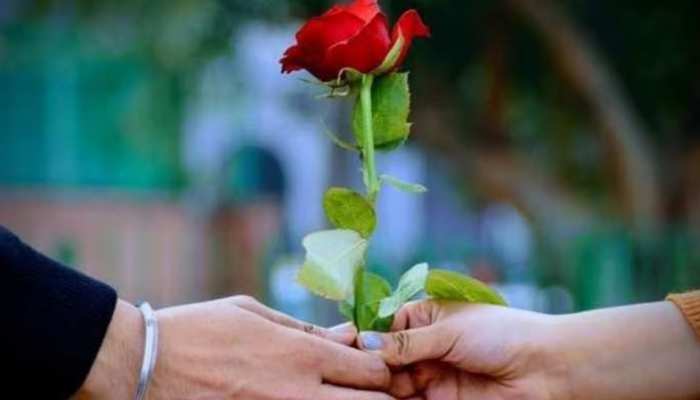 Rose day 2023: रोज डे पर ये मैसेज भेजकर पार्टनर को करें खुश, रिश्ता होगा और मजबूत