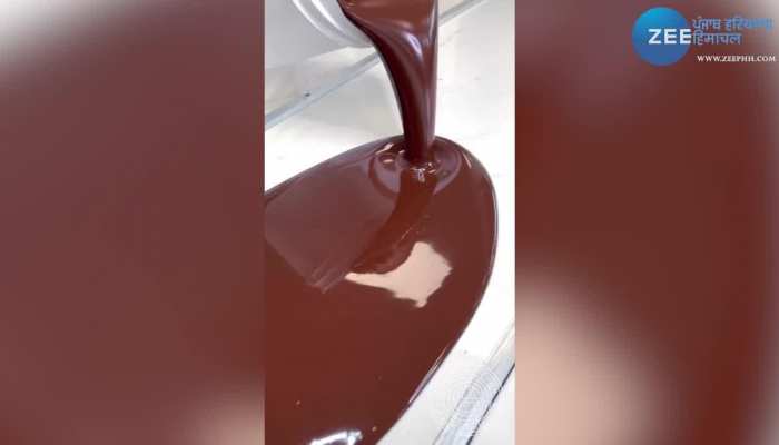 कुछ ही सेकंड्स में बना डाला इस शख्स ने चॉकलेट से Dinosaur, वीडियो देख उड़ जाएंगे होश