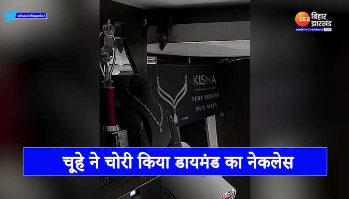 Viral Video : हीरे का हार चोरी करते दिखा चूहा, सोशल मीडिया पर वायरल हो गया वीडियो