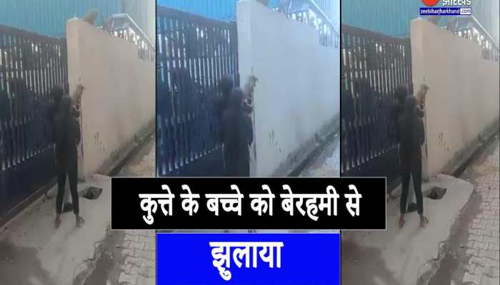 Viral Video : कुत्ते के बच्चे को बेरहमी से झुलाते नजर आए लोग, वीडियो देखकर भड़के IAS ऑफिसर