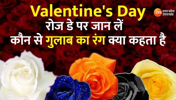 Rose Day: किस रंग के गुलाब का क्या होता मतलब