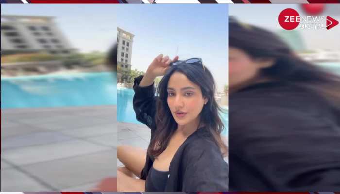स्विमिंग पूल के किनारे Neha Sharma ने ब्लैक बिकिनी में ढाया कहर, वीडियो देख आपकी भी उड़ जाएंगी नीदें