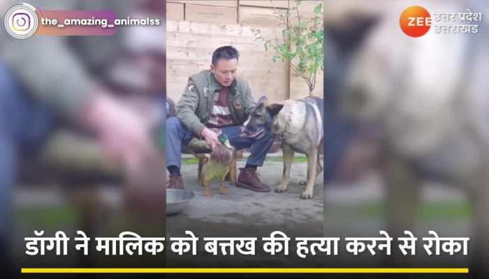 डॉगी ने बत्तख के लिए दिखाई ऐसी दया, वीडियो देख कहेंगे- जानवरों में इंसानों से ज्यादा इंसानियत