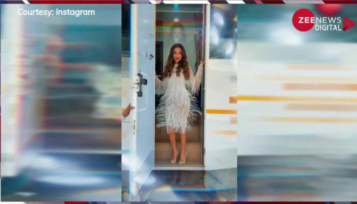 कभी पहनी झालर वाली ड्रेस तो कभी पहना लंबा गाउन, Malaika Arora ने एक से एक ड्रेसेस में दिखाया बदन