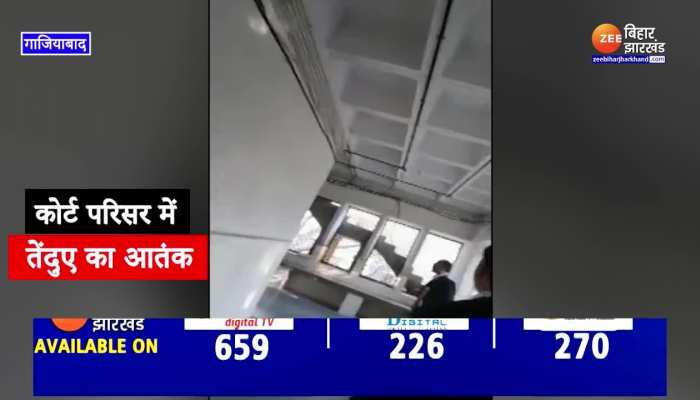 Video: गाजियाबाद कोर्ट परिसर में घुसा तेंदुआ, देखें फिर क्या हुआ?