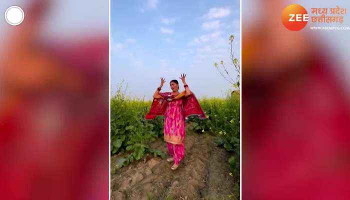 Viral Video: सपना चौधरी ने खेत में लगी फसलों के बीच किया डांस, लोग भी हुए नाचने पर मजबूर