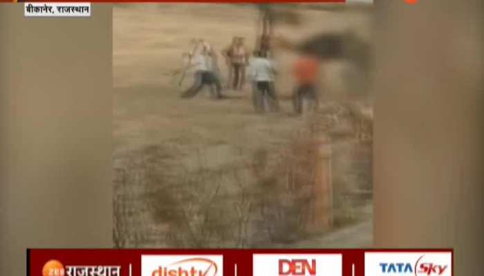 Bikaner News : बीकानेर में मालिक की मौत के बाद उंट को पीट-पीटकर आखिर क्यो मार डाला, जानिए पूरा मामला