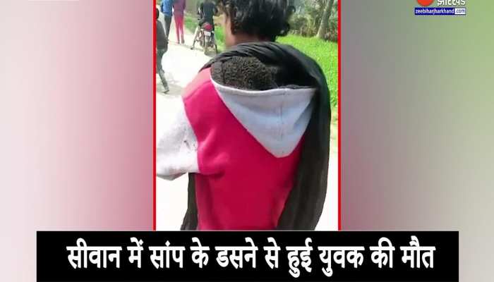 सांप के साथ मजाक करना पड़ा युवक को भारी, दर्दनाक मौत का वीडियो वायरल