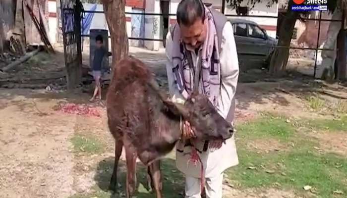 14 फरवरी को 'Cow Hug Day' के रूप में मनाएं: भारतीय पशु कल्याण बोर्ड