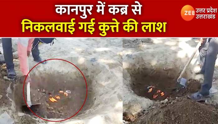 Kanpur Dog Murder Mystery: कब्र से कुत्ते का शव निकालकर दोबारा होगा पोस्टमार्टम