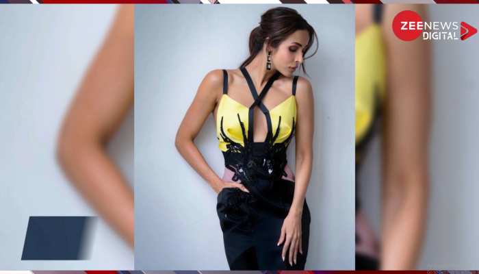 Weight Loss: रोजाना रात में सोने से पहले करें ये काम, Malaika Arora जैसा बनेगा फिगर