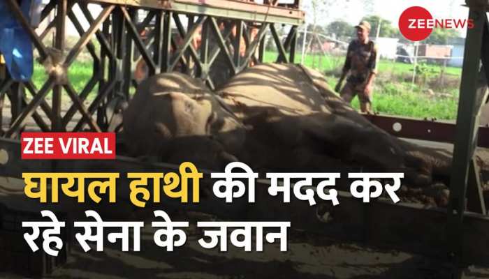 Savalde में Elephant की जान बचाने के लिए आगे आयी Indian Army