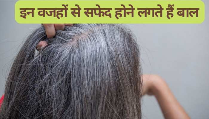 hair care tips because of these reasons hair starts turning white at the age of 25 | White Hair: इन वजहों से 25 की उम्र में ही सफेद होने लगते हैं बाल, hair care tips because of these reasons hair starts turning white at the age of 25 | White Hair: इन वजहों से 25 की उम्र में ही सफेद होने लगते हैं बाल,