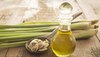 Lemongrass Oil Benefits: दिल की बीमारियों से दूर रखता है लेमनग्रास, ऐसे करेंगे इस्‍तेमाल तो शरीर से नहीं आएगी बदबू  