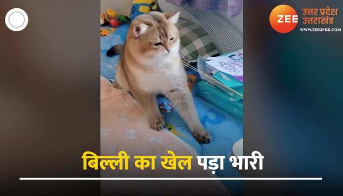 Tik Tok Video की ताज़ा खबरे हिन्दी में | ब्रेकिंग और लेटेस्ट न्यूज़ in Hindi  - Zee News Hindi