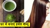 Green Tea Herbal Shampoo घर में ही करें तैयार करें, बाल बनेंगे सिल्की और शाइनी 