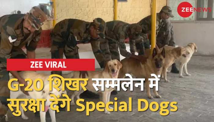 Explosive ढूंढने में माहिर k9 Dog Squad की टीम