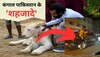 फाइल फोटो