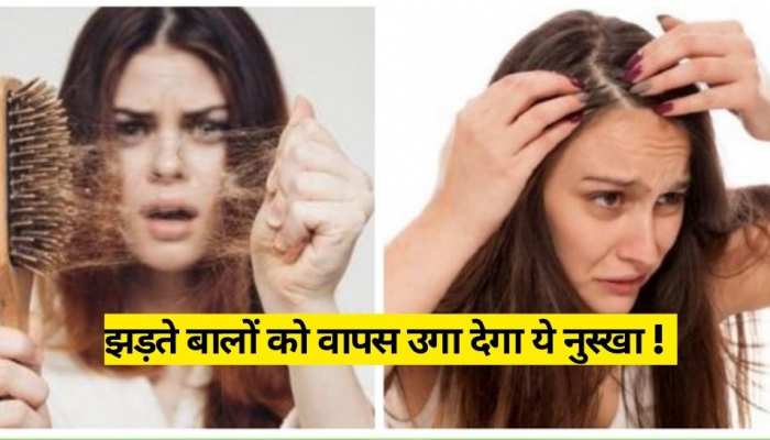 How to stop hair fall immediately use Bhringraj Hair Mask Hair Fall  Treatment | Hindi News, Hair Fall के लिए ऐसे इस्तेमाल करें भृंगराज, नहीं  पड़ेगी महंगे एंटी हेयरफॉल शैंपू की जरूरत
