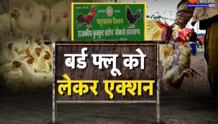 Bird Flu : Bokaro में बर्ड फ्लू की पुष्टि से हड़कंप...एक्शन में प्रशासन