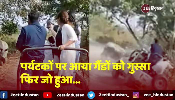 Viral Video: गैंडों को पर्यटकों पर आया गुस्सा...दौड़ाया, पलटी जीप