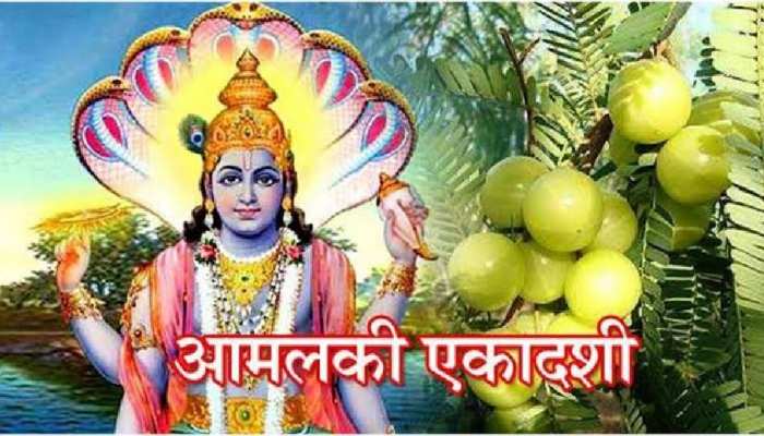 Amalaki Ekadashi: आमलकी एकादशी पर बन रहे 3 बेहद शुभ योग, बस ना करें ये एक गलती! | Amalaki Ekadashi 2023 vrat date puja muhurat sarvarth siddhi yog | Hindi News