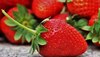 Strawberry Benefits: इम्यून सिस्टम को बढ़ाने में असरदार है स्ट्रॉबेरी का सेवन