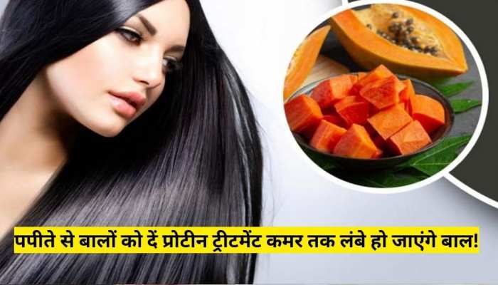 Papaya Hair Treatment To Get Long Hair Naturally Hair Care Tips | Hindi News, पपीते से बालों को दें प्रोटीन ट्रीटमेंट, कमर तक लंबे हो जाएंगे बाल Papaya Hair Treatment To Get Long Hair Naturally Hair Care Tips | Hindi News, पपीते से बालों को दें प्रोटीन ट्रीटमेंट, कमर तक लंबे हो जाएंगे बाल