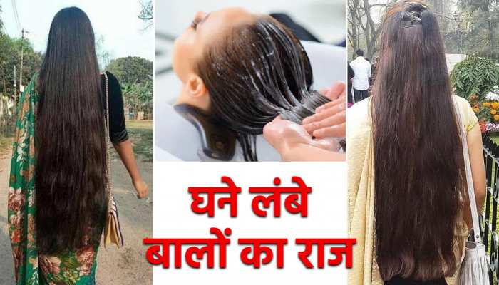 Haircare Tips: Vitamin B7 makes hair long and thick steps to make homemade biotin hair mask DIY for hair loss | Haircare Tips: बालों को लंबा और घना बनाता है विटामिन B7, Haircare Tips: Vitamin B7 makes hair long and thick steps to make homemade biotin hair mask DIY for hair loss | Haircare Tips: बालों को लंबा और घना बनाता है विटामिन B7,