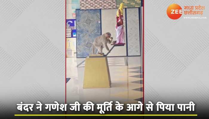 Viral Video: बंदर ने लगाया गजब दिमाग! पानी पीने के लिए गणेश जी की मूर्ति के सामने झुकाए शीश, देखें वीडियो