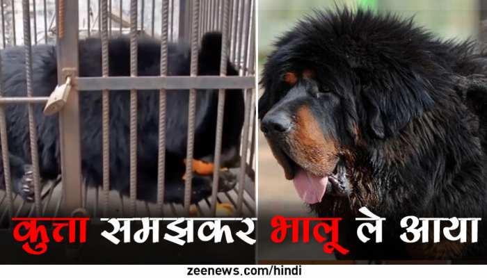 Man Brought up for 2 years considering as dog but suddenly recognize it is  a bear then happened this | कुत्ता समझकर 2 साल तक पाला, अचानक पता चला कि  25000 रुपये