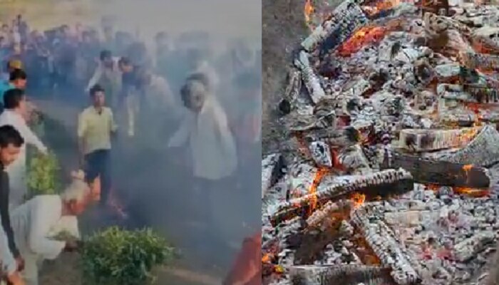 यहां होली के दिन धधकते अंगारों में चलने से पूरी होती मन्नत, जानिए क्या है मान्यता