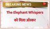 Oscar Awards 2023: भारतीय Documentary 'The Elephant Whispers' को मिला ऑस्कर अवॉर्ड | BREAKING NEWS