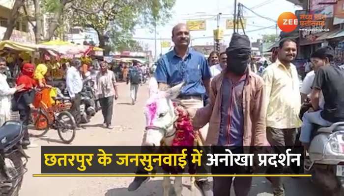 Chhatarpur में दिखा अनोखा प्रदर्शन, गधे पर सवार होकर पहुंचे प्रदर्शनकारी ने चांदी की प्लेट में खिलाएं काजू