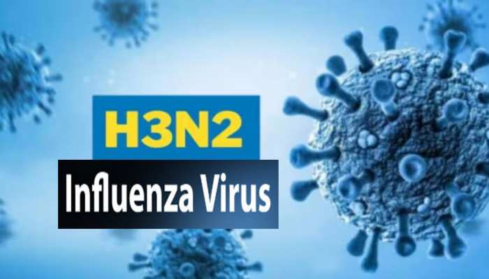  H3N2 वायरस ने साइबर सिटी में भी पसारे पैर, गुरुग्राम में मिला पहला मरीज