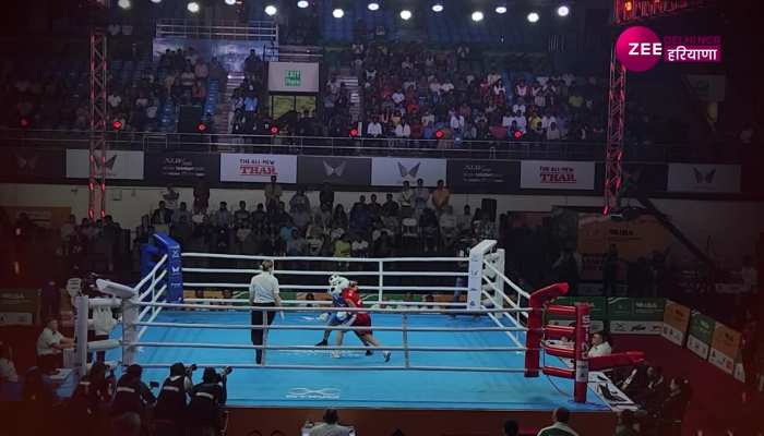 Women's World Boxing Championship: क्वार्टर फाइनल में पहुंचीं निखत जरीन, जानिए मुक्केबाजी में भारत का चल रहा कैसा प्रदर्शन?
