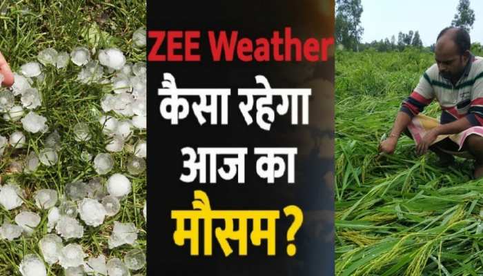 MP Weather: बारिश ने दिखाया मौत और तबाही का मंजर, आज इन जिलों में मौसम का अलर्ट जारी