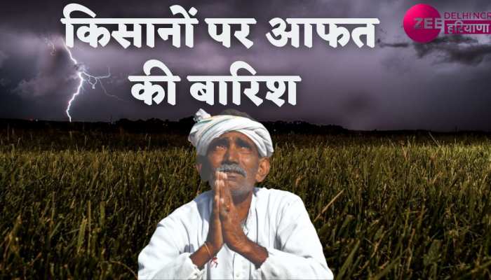 Rain In Delhi-NCR: किसानों पर आफत की बारिश, पकने से पहले गेहूं की फसल हुई खराब