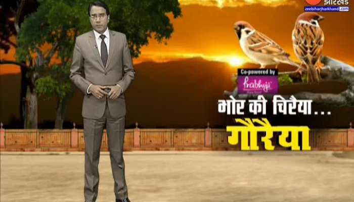 विश्व गौरैया दिवस आज: विलुप्त होने की कगार पर बिहार का राजकीय पक्षी, लेकिन पालनहार की भूमिका निभा रहे पूर्णिया के सुभम