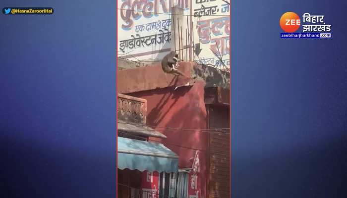 Viral Video : कुत्ते का हुआ अपहरण, यूजर्स ने कहा फिरौती की राशि…