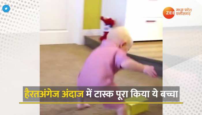 Viral Video : छोटे बच्चे ने  खेल-खेल में किया अपना टास्क पूरा, बच्चे की Cuteness पर लाखों लोग हार बैठे अपना दिल, देखें वीडियो