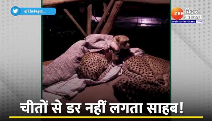 Viral Video : खूंखार चीतों के साथ मजे में सोता है ये शख्स, रोंगटे खड़े कर देने वाला है वीडियो