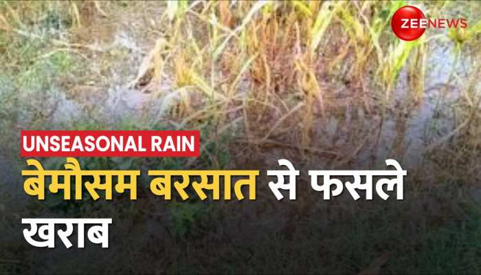 Unseasonal Rain 2023: देशभर में बेमौसम बारिश बनी आफत, किसानों की मेहनत पर फेरा पानी | Heavy Rainfall