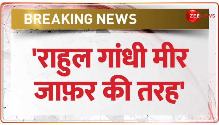शहजादा (Rahul Gandhi) नवाब बनना चाहता है- BJP