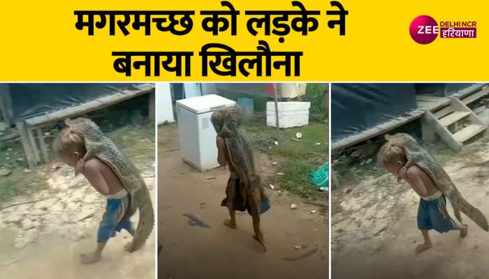 Viral video: मगरमच्छ को पीठ पर लादकर घूमते बच्चे का वीडियो हुआ वायरल, वायरल हो रहा चौंकाने वाला वीडियो